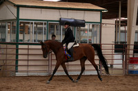 SilverBuckle20_SunAM_5799