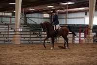 Class 315 Arabian Hunter Pl Jr Horse 3 Year Old Championship
