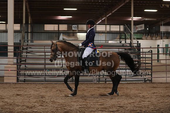 SilverBuckle20_SunAM_5607