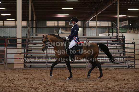 SilverBuckle20_SunAM_5608