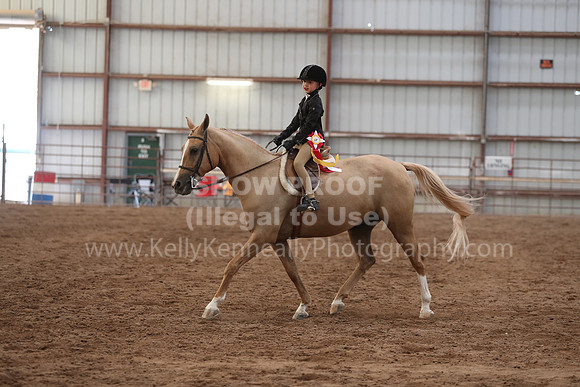 SilverBuckle20_SunAM_5740