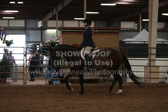 SilverBuckle20_SunPM_5960