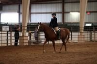 Class 320 A/HA/AA Hunter Pleasure W/T 10 & under Championship