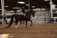 SilverBuckle20_SunPM_6080