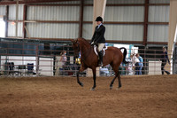 Class 321 Arabian Hunter Pleasure ATR Select Championship