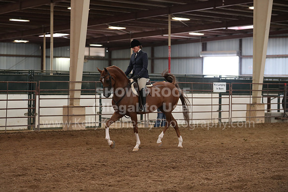 SilverBuckle20_SunPM_6127