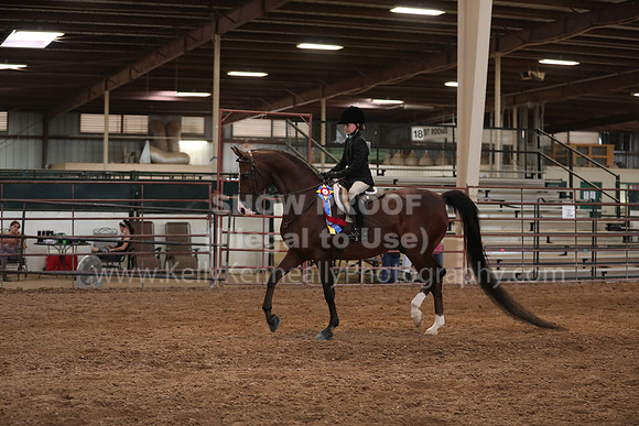 SilverBuckle20_SunPM_6105