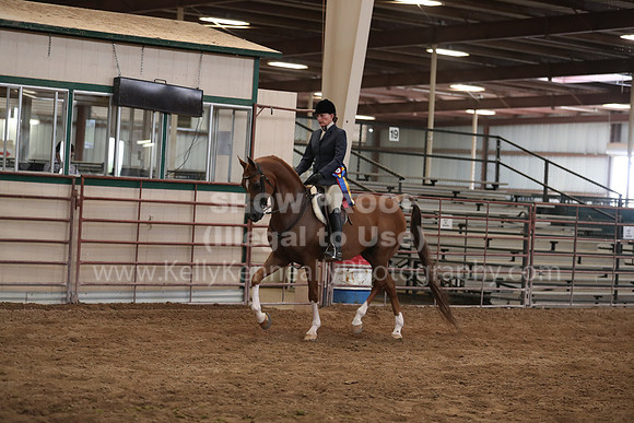 SilverBuckle20_SunPM_6140