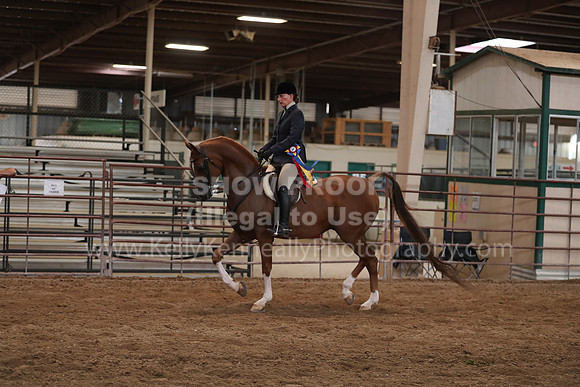 SilverBuckle20_SunPM_6146
