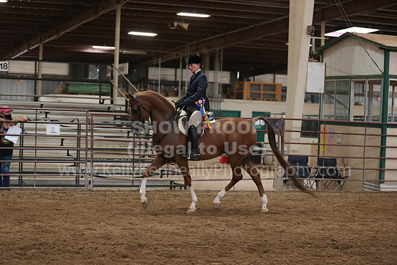SilverBuckle20_SunPM_6147