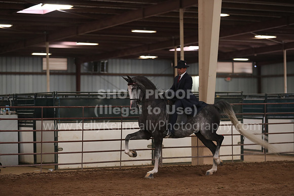 SilverBuckle20_SunPM_6310