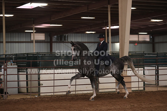 SilverBuckle20_SunPM_6311
