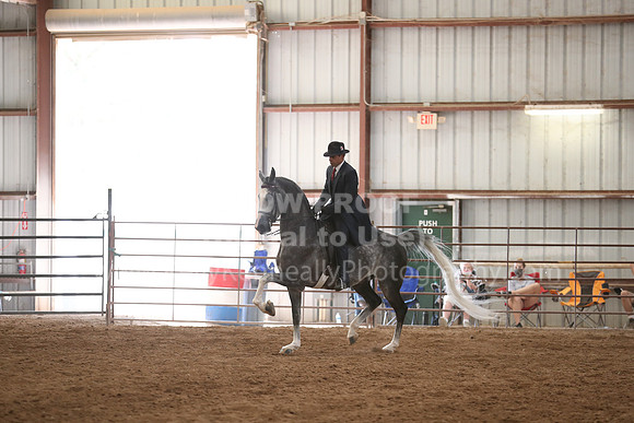 SilverBuckle20_SunPM_6316