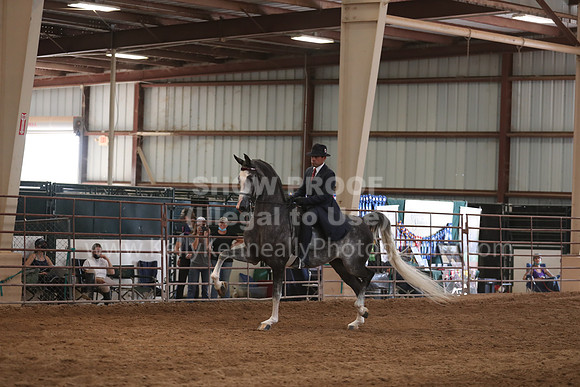 SilverBuckle20_SunPM_6322