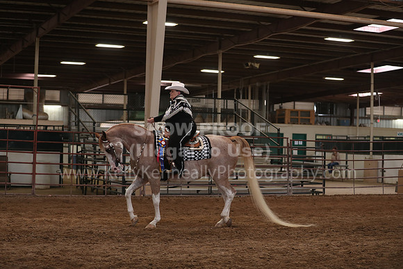 SilverBuckle20_SunPM_6300