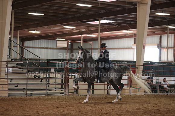 SilverBuckle20_SunPM_6324