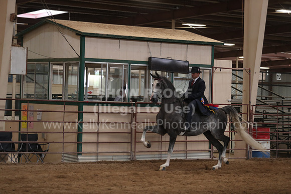 SilverBuckle20_SunPM_6334
