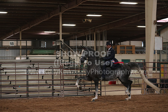 SilverBuckle20_SunPM_6340