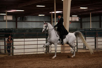 Class 328 HA/AA Country English Pleasure ATR Select Championship