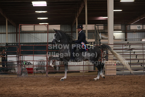 SilverBuckle20_SunPM_6346