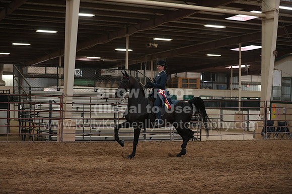 SilverBuckle20_SunPM_6405