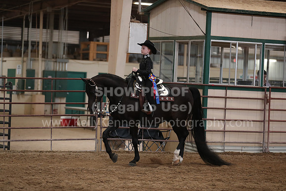 SilverBuckle20_SunPM_6211