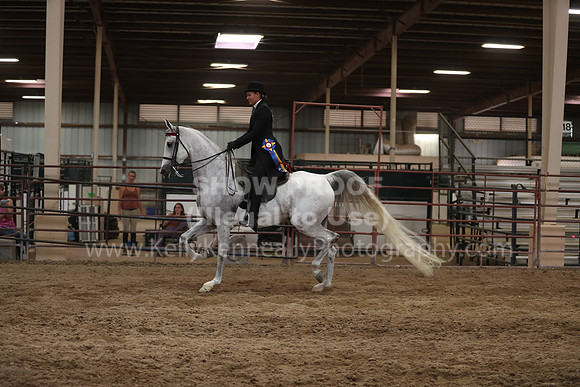 SilverBuckle20_SunPM_6421