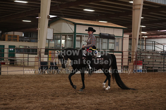 SilverBuckle20_SunPM_6479