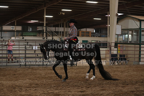 SilverBuckle20_SunPM_6484