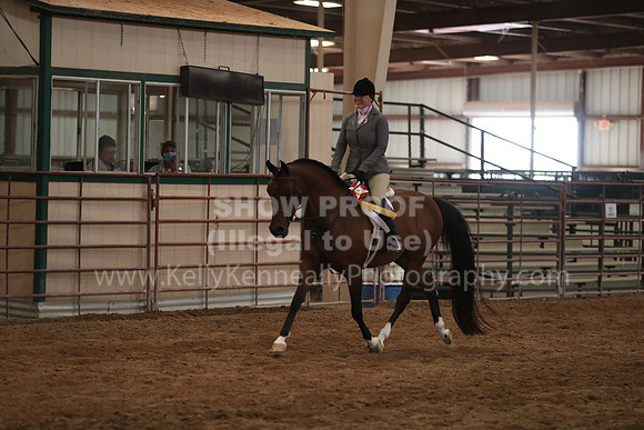 SilverBuckle20_SunPM_6500