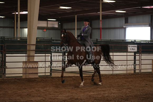 SilverBuckle20_SunPM_6585