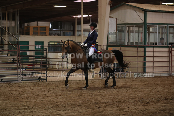 SilverBuckle20_SunPM_6517