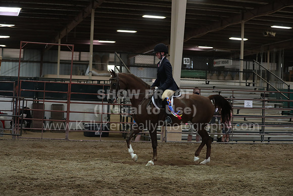 SilverBuckle20_SunPM_6580