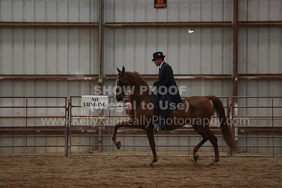 SilverBuckle20_SunPM_6724