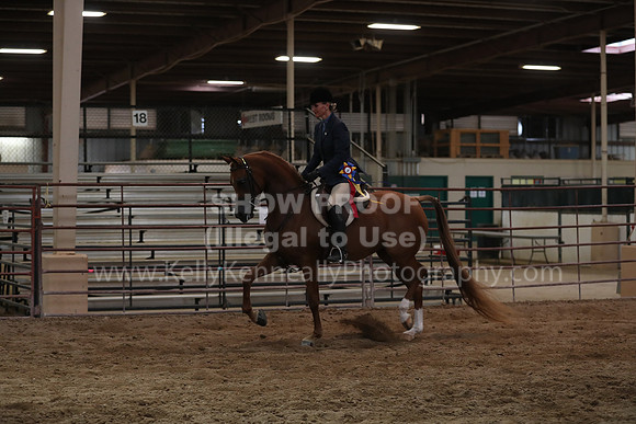 SilverBuckle20_SunPM_6678