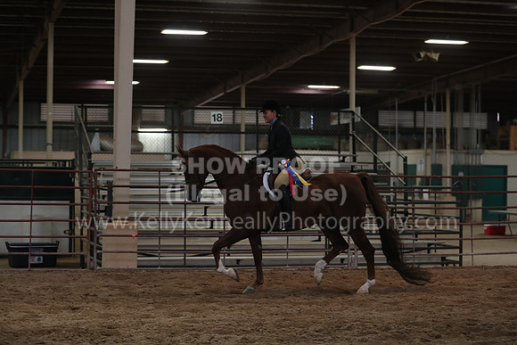 SilverBuckle20_SunPM_6650