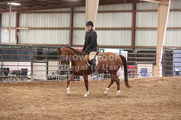 SilverBuckle20_SunPM_6853