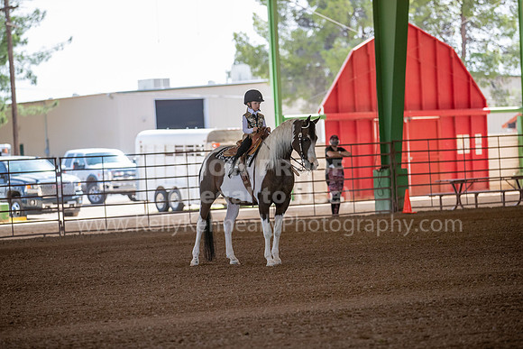 SilverBuckleJR_RiderReining20-1575
