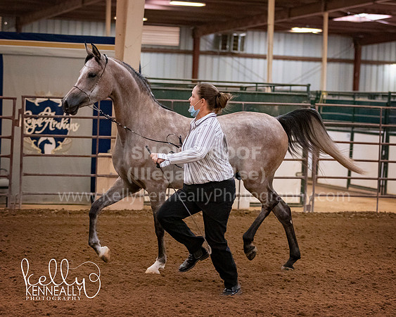 SilverBuckle20_FriAM_1723 copy