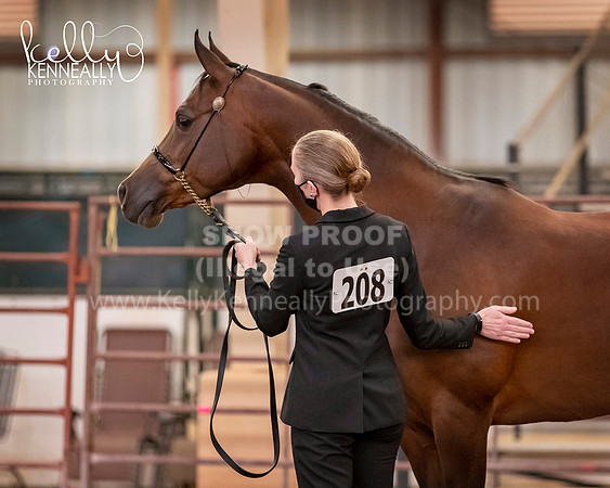 SilverBuckle20_FriAM_1868 copy