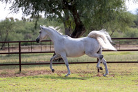 KaytieBarTheDoorRS20_0684