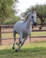 KaytieBarTheDoorRS20_0700