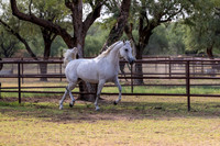 KaytieBarTheDoorRS20_0650