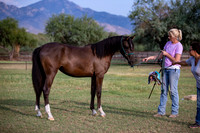 Footloose&FancyRS20-2900