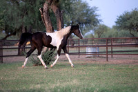 TexasRangerRS20-3840