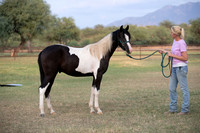 TexasRangerRS20-3700