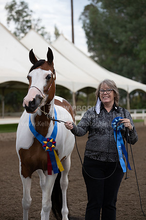 DAHAFall20_Halter-5784