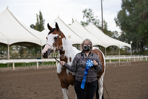 DAHAFall20_Halter-5794