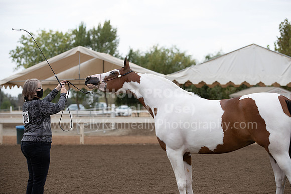 DAHAFall20_Halter-5792