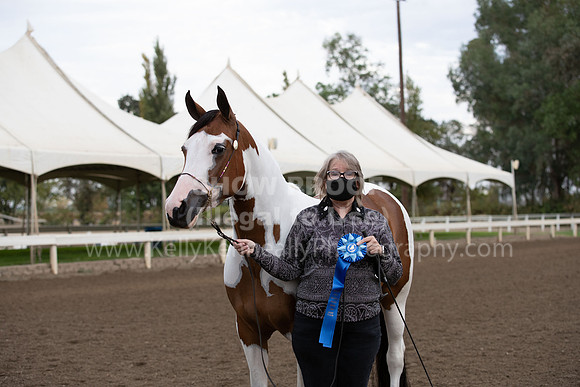 DAHAFall20_Halter-5795